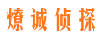 岱山资产调查